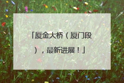 厦金大桥（厦门段），最新进展！